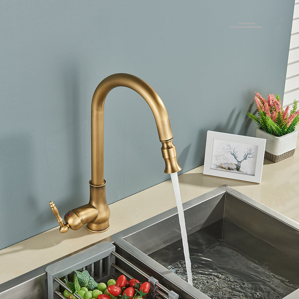 Mitigeur de cuisine antique en nickel brossé avec bec extractible