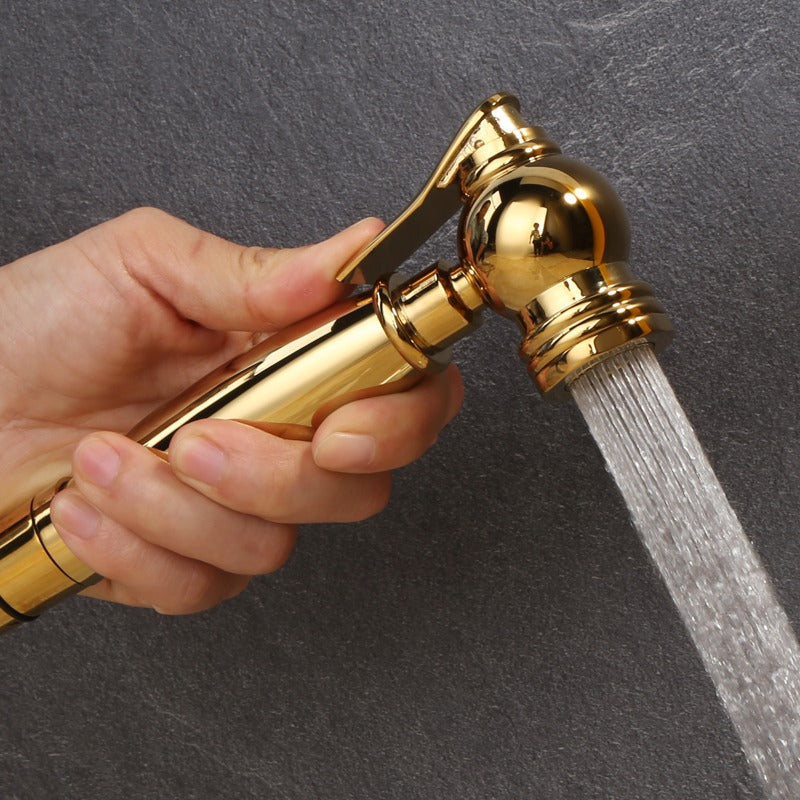 Douchette pour bidet couleur or titane, kit pour toilettes en laiton massif