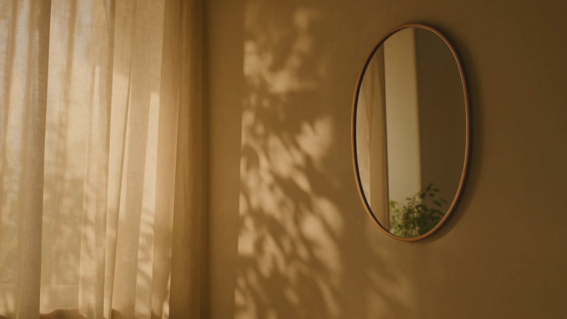 Charger la vidéo : 