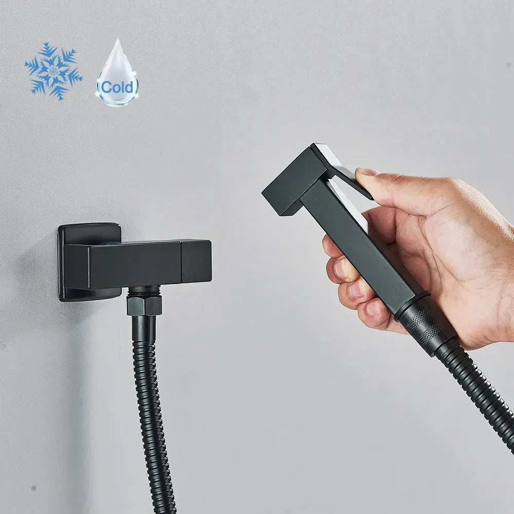 Robinet douchette de bidet portatif en acier inoxydable pour toilettes, destiné à la salle de bains